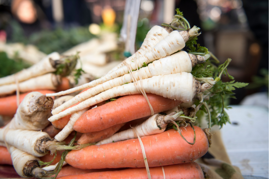 L essentiel A Retenir Sur Les Carottes Blanches